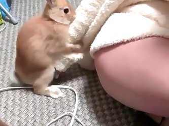 Japanese Extreme Bondage Porn