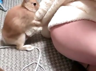 Japanese Extreme Bondage Porn