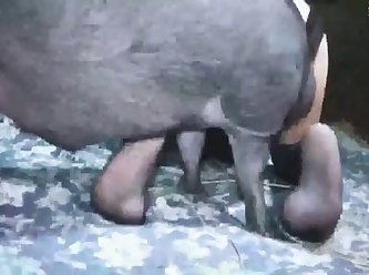Extreme Love Porn