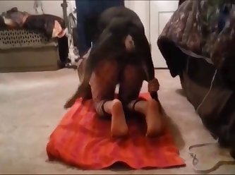 Dark Web Extreme Porn