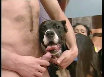 Porn Extreme Hot