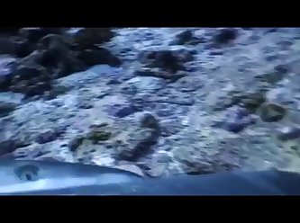 Lesbian Extreme Porn Gif