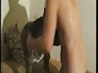 Extreme Porn Animated