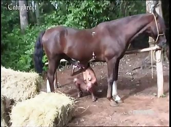 Extreme Sex Slave Porn