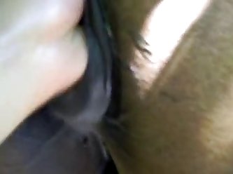 Artofzoo Cum