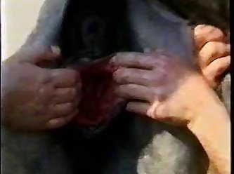 The Art Of Zoo Porn