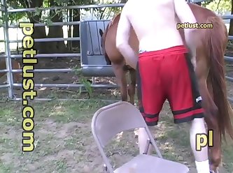 Beastiality Vs Zoophilia