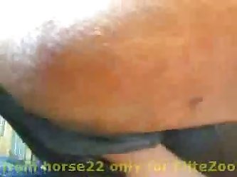 2 Dogs Fucking