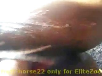 2 Dogs Fucking