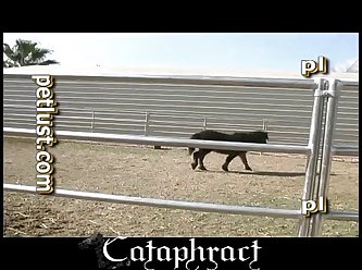 Pup Ravage