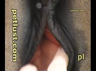 Abdl Tube