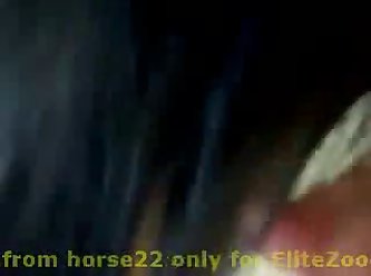 What Is Zoo Porn
