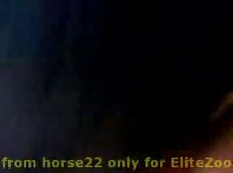 What Is Zoo Porn