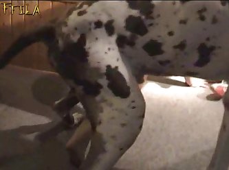 Extreme Squirting Porn Gif