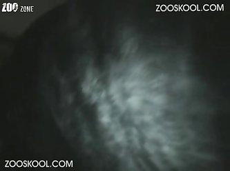 Extreme Rough Taboo Porn