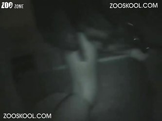 Extreme Rough Taboo Porn