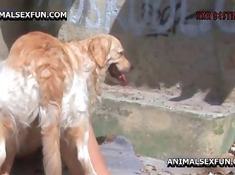 As If The Dog Understood Her Words He Ran His Tongue