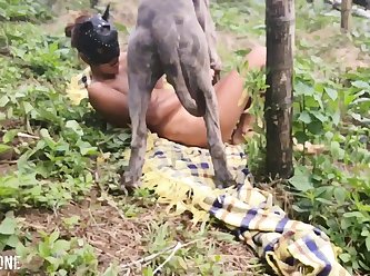Excited Growl The Dog Hooked His Top Leg Over Animal Loving Milf's