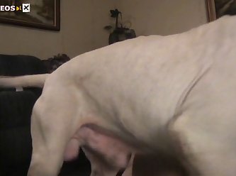 Like To Have A Dog's Tongue Slapping Up Her Pussy. She