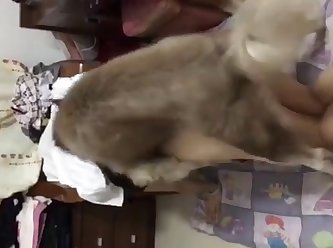 Dog Girl Porn
