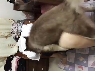 Dog Girl Porn