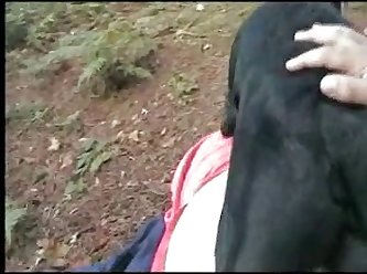 Sucking Horse Cock