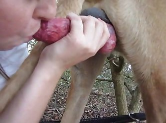 Women Having Sex With Horses
