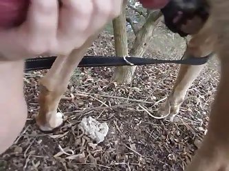 Women Having Sex With Horses