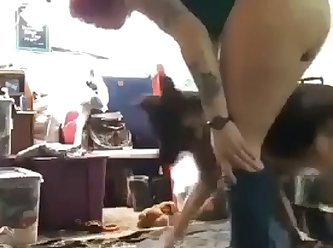 Guy Fucks Small Dog