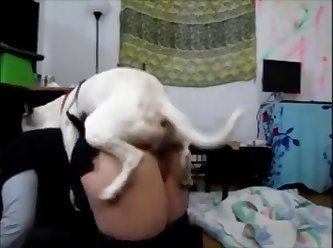 Zoophilia Videos