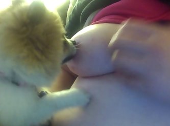 Beastiality Videos