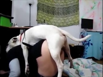 Zoophilia Videos