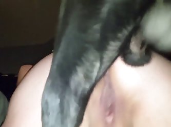 Luxurtv