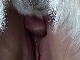 Artofzoo Porn