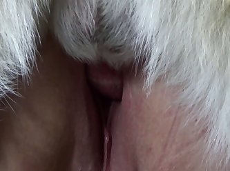 Artofzoo Porn