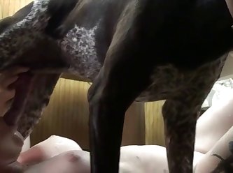 Free Beastiality