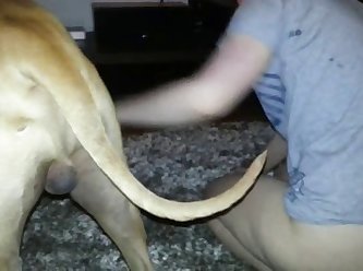 Man Fucking Animal