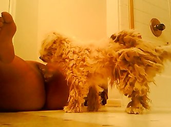 Petsex