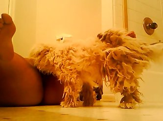 Petsex