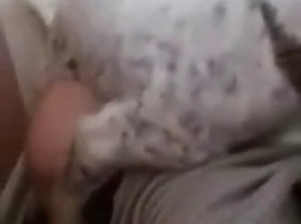 Dog Sucking Dick