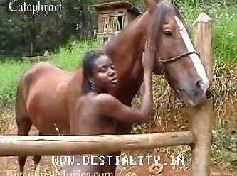 Animal Porn Animation