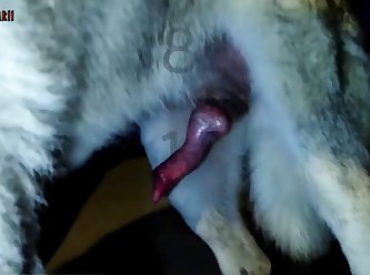 Horse Sucking Dick