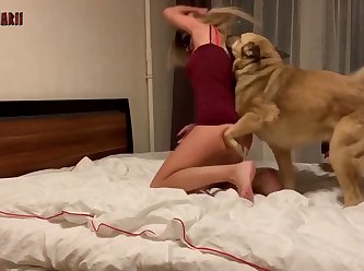 Animal Sex Woman