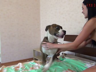 Dog Fucking Owner