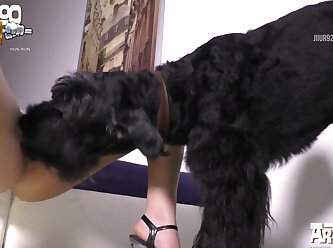 Dog Knot Girl