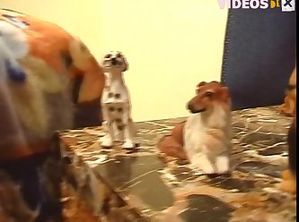 Dog Says Fuck Meme