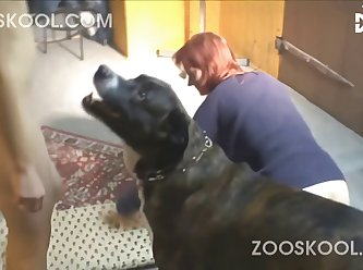 Dog Fuck Crying Girl