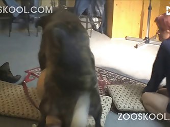 Dog Fuck Crying Girl