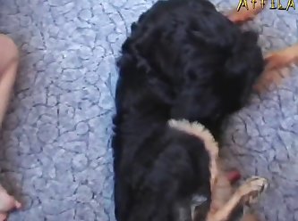 Fuck You But Not Your Dog
