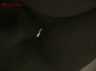 Helping My Sister Fuck The Dog
